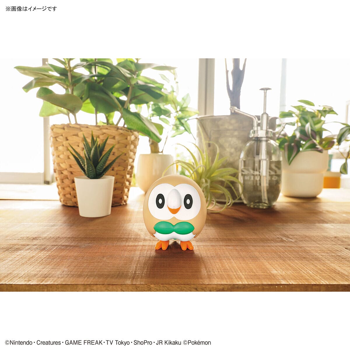 Pokemon Rowlet 10 Quick Model Kit