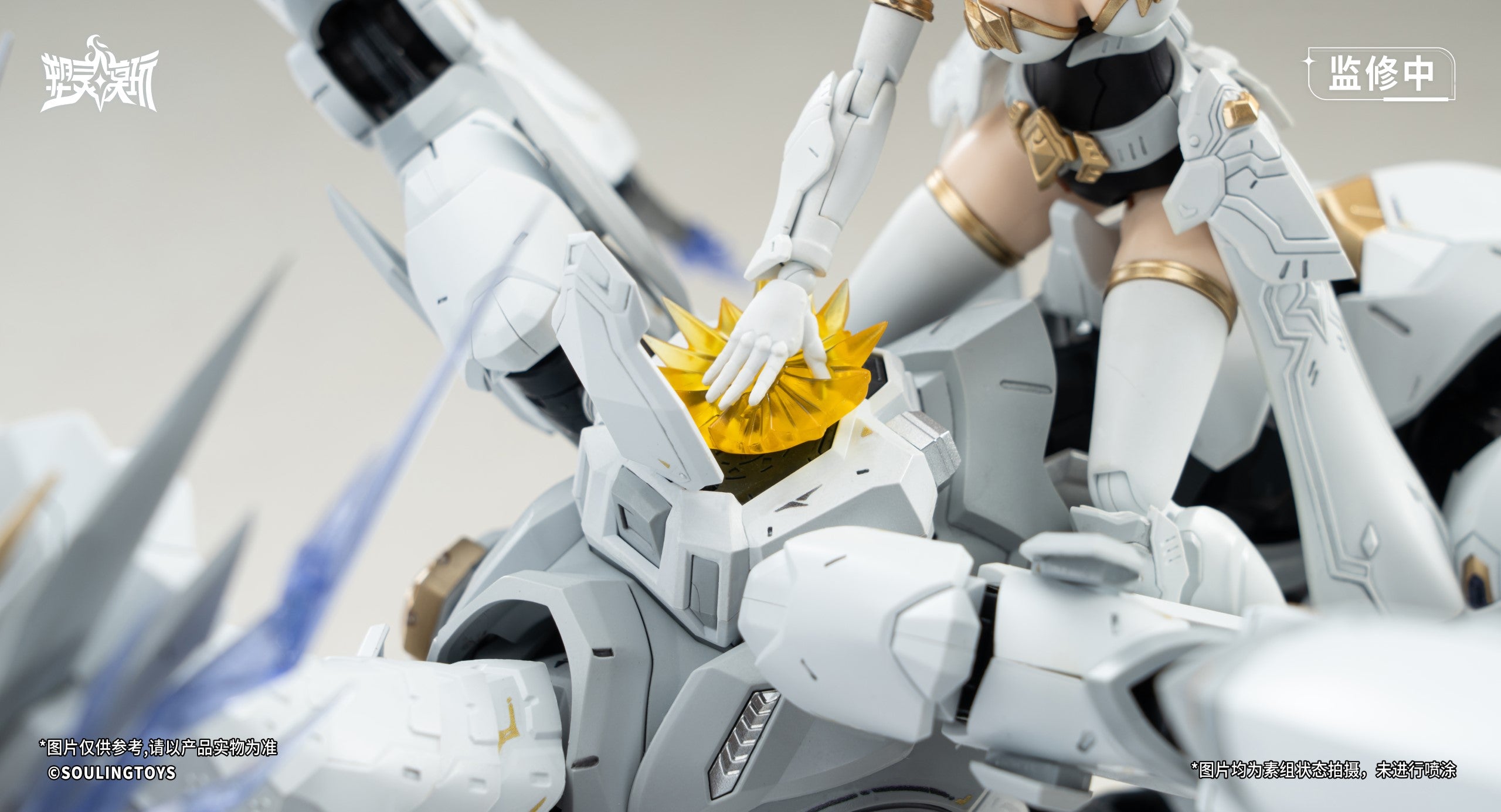 Daytime Meteor 1/12 Scale Model Kit